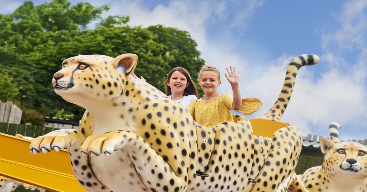 Days Out in Sussex, The Best Zoo & Family Day Out Drusillas Park