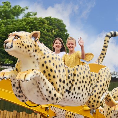 Best Zoo in South East & Sussex | Family Days Out | Drusillas Park