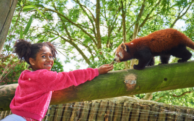 Close Encounters - The Best Fun Family Days Out in Sussex
