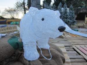 IMG_2432.jpg