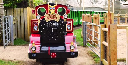 Safari_Express_Train_Steams_into_Drusillas_Park.jpg