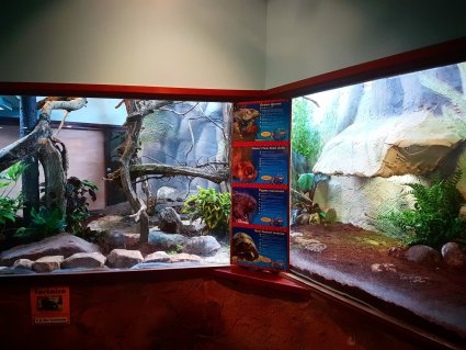 South_American_Enclosure_at_Drusillas_Park__copy_.jpg