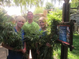 Zoo_Keepers_Katherine_Gibson_and_Sophie_Leadbitter_with_Stewart_Scott.JPG