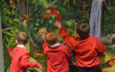 animal visits to schools manchester