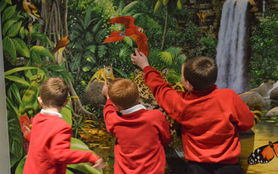 animal visits to schools somerset